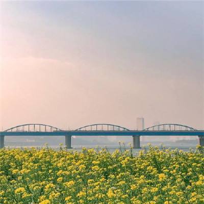 攻守兼备破解版最新版下载